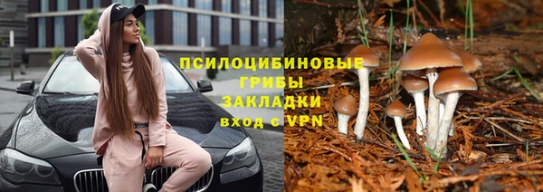 каннабис Алзамай