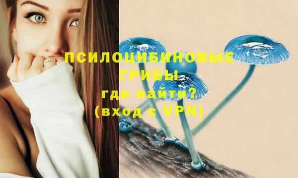 сатива Алексин