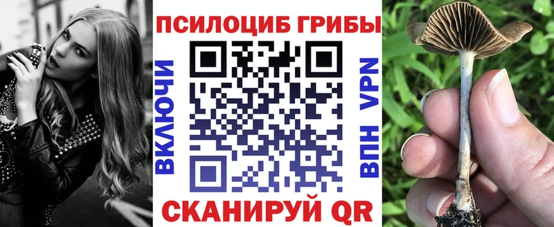 Псилоцибиновые грибы ЛСД  Омск 