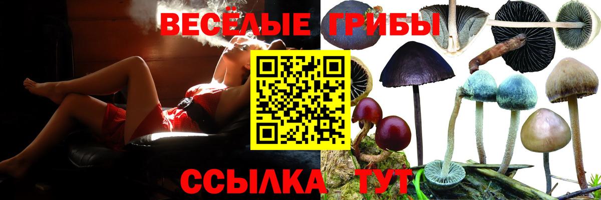 Галлюциногенные грибы Cubensis  Галлюциногенные грибы MAGIC MUSHROOMS  Вход с VPN  Омск 